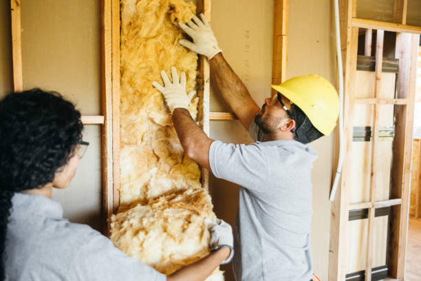 Professional Insulation in Ellijay, GA